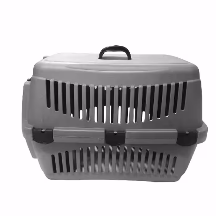 باکس سگ مدل مندی