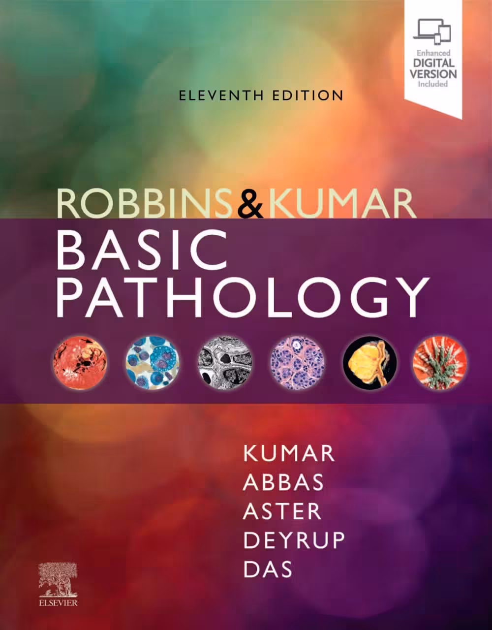 Robbins &amp; Kumar Basic Pathology (Robbins Pathology) 11th Edition  2023