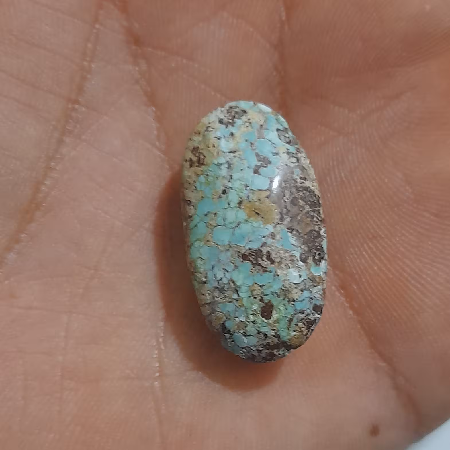 نگین فیروزه. انکبوتی 