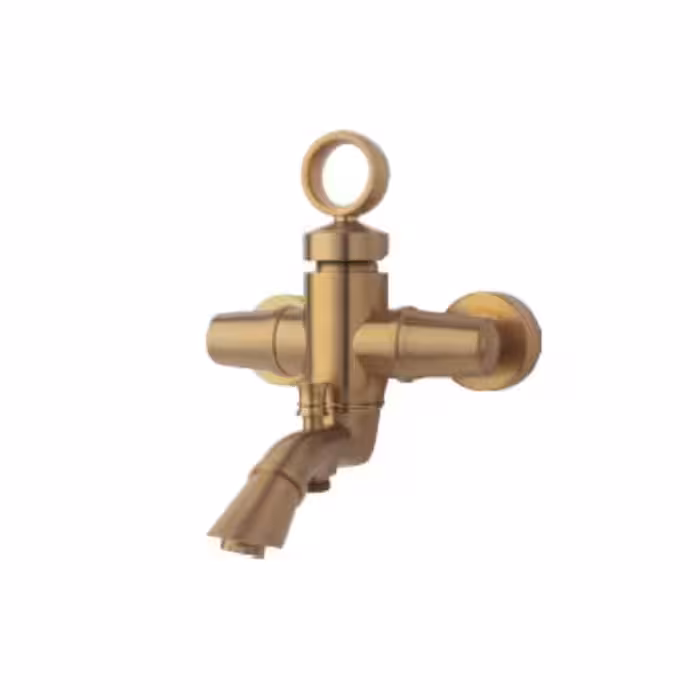 شیر حمام آنیتا راسان (طلامات)