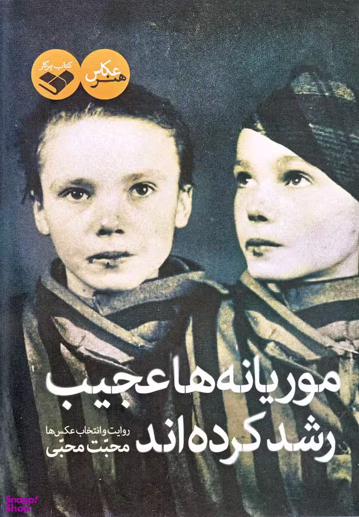 کتاب موریانه ها عجیب رشد کرده اند اثر محبت محبی انتشارات کتاب پرگار