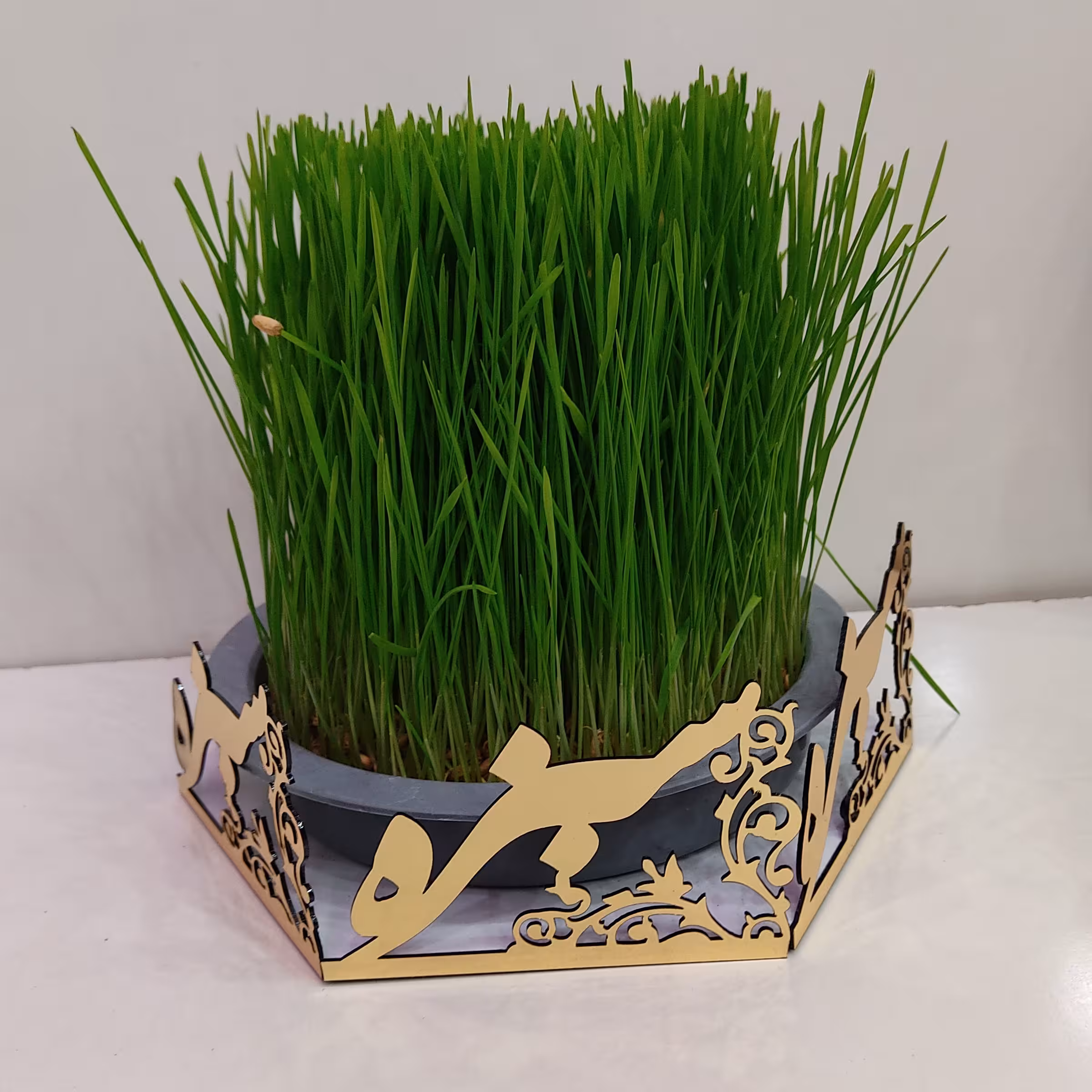 جای سبزه نوروز مخصوص هفت سین 