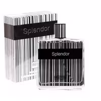 عطر مردانه اسپلندور مشکی 50میل