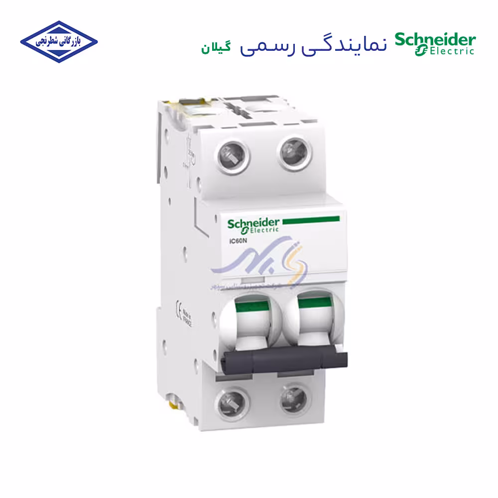 کلید مینیاتوری دو پل اشنایدر تیپ B از 2 تا 40 آمپر