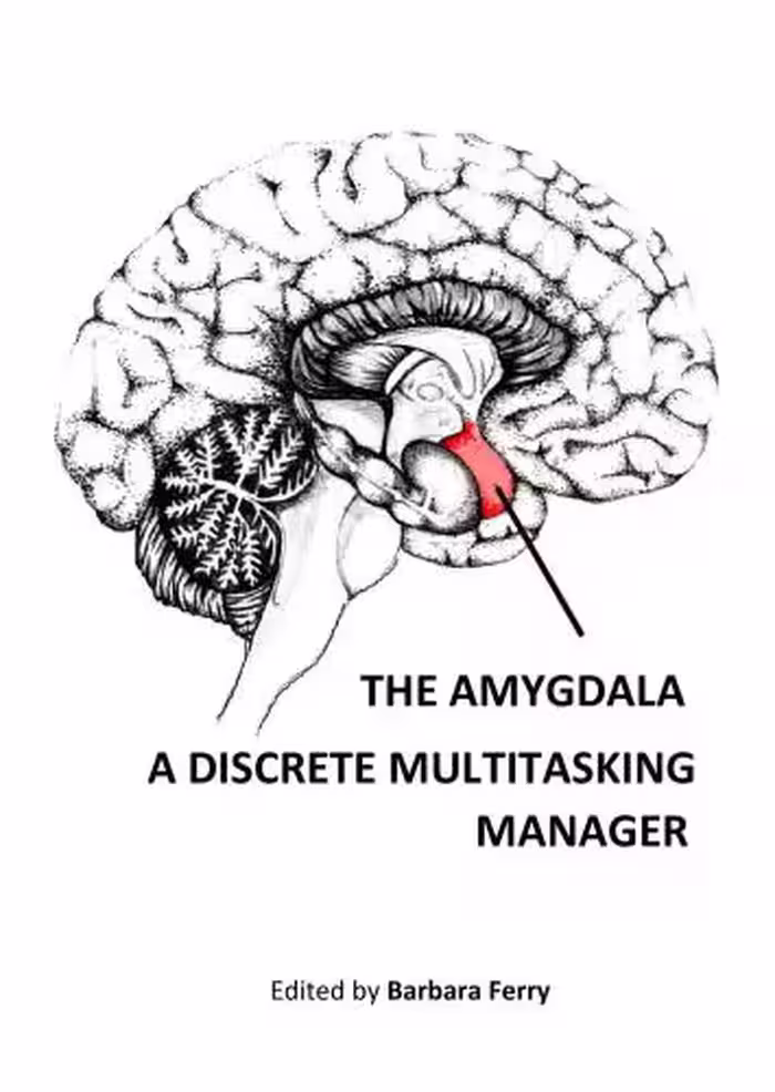 خرید و دانلود نسخه کامل کتاب The Amygdala - A Discrete Multitasking Manager