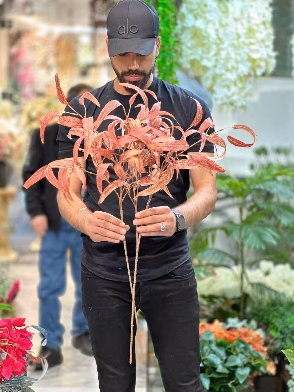 برگ بید مجنون