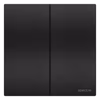 Avent – کلید دو پل – 10Ax – مشکی