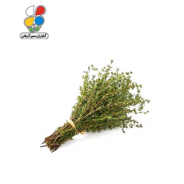 بذر آویشن بسته سه عددی