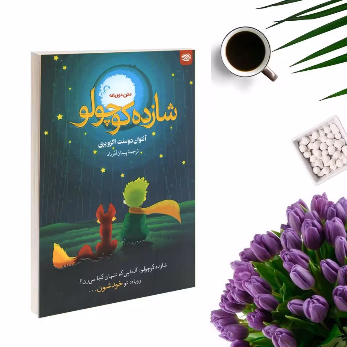 کتاب شازده کوچولو دو زبانه اثر آنتوان دوسنت اگزوپری انتشارات اردیبهشت