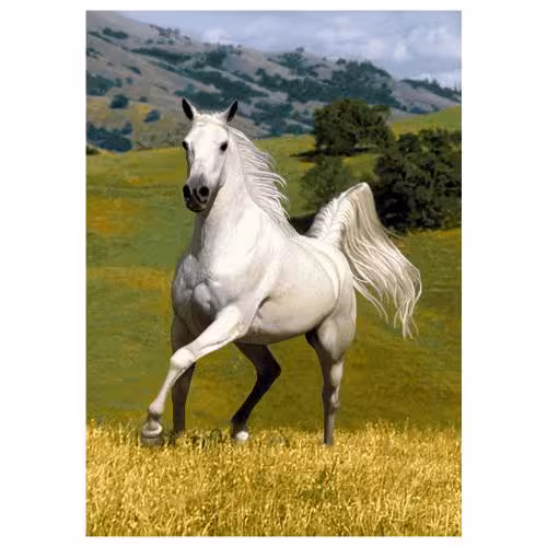 حیوانات مدل اسب کد 26069