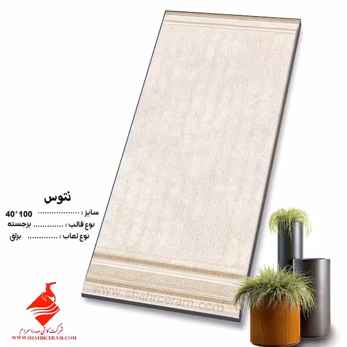 سرامیک تنوس 100*40 صدرا سرام