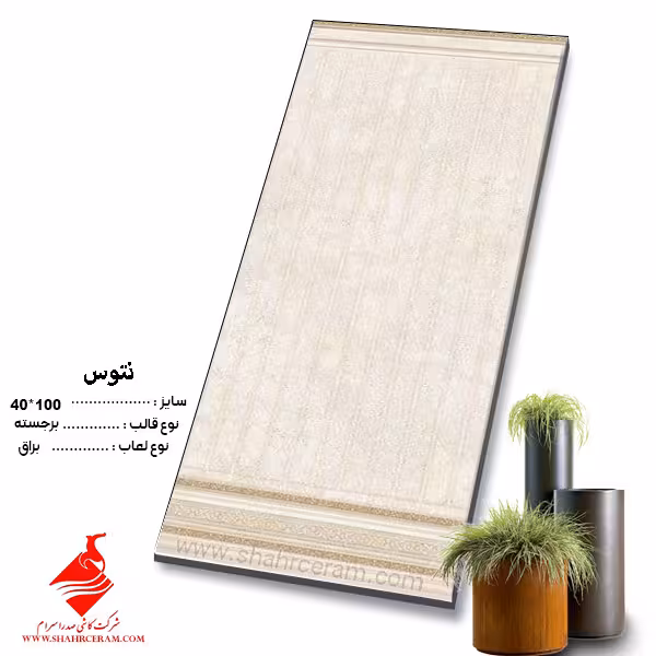 سرامیک تنوس 100*40 صدرا سرام
