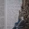 كتاب Bird Habitats and Conservation اثر David Chandler انتشارات Hamlyn