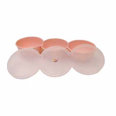 ظرف نگهدارنده یاس مدل مقسم