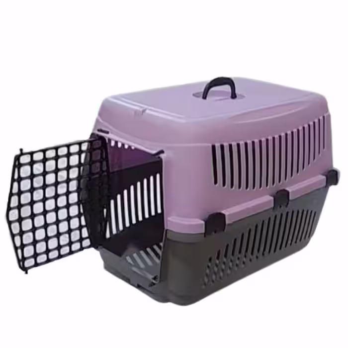 باکس سگ مدل مندی