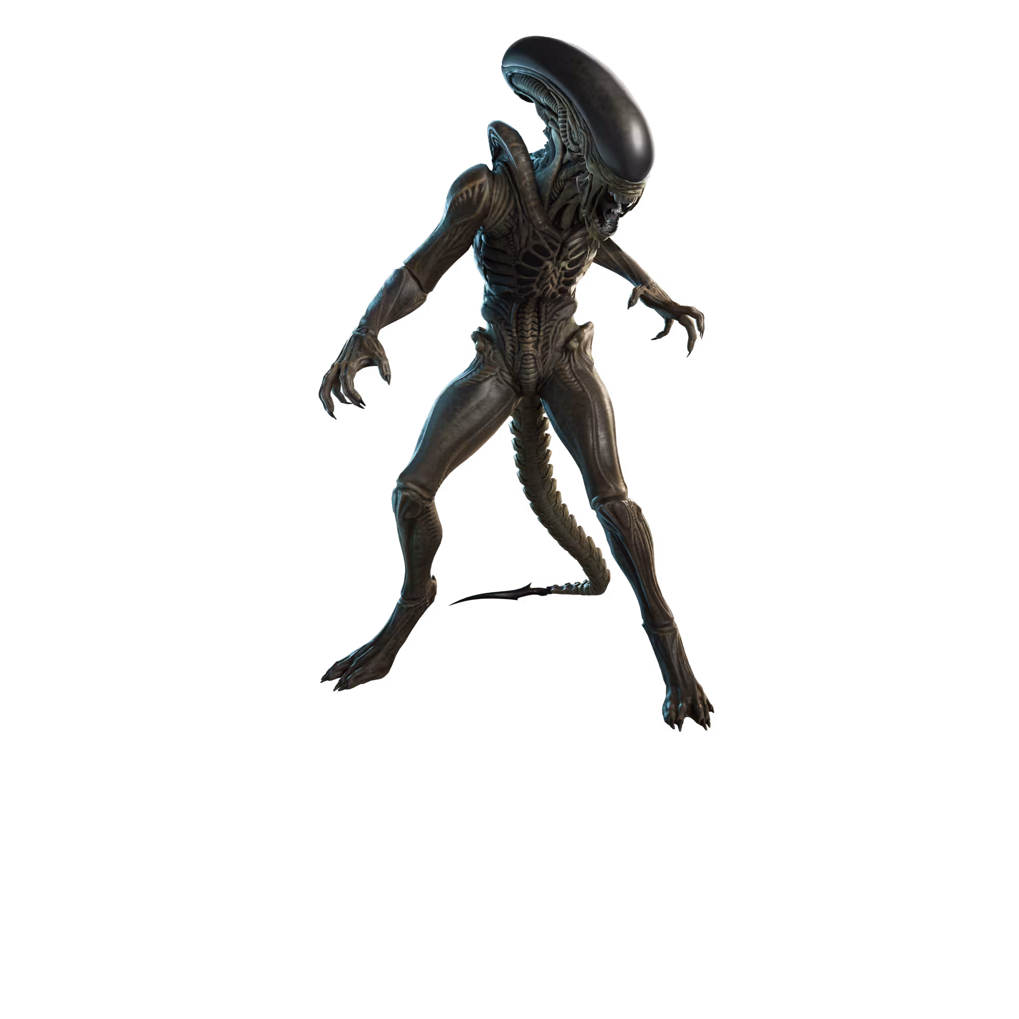 Xenomorph (Alien: Earth)