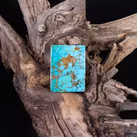 نگین فیروزه شجری کد 10746 - جواهری مشاهیر