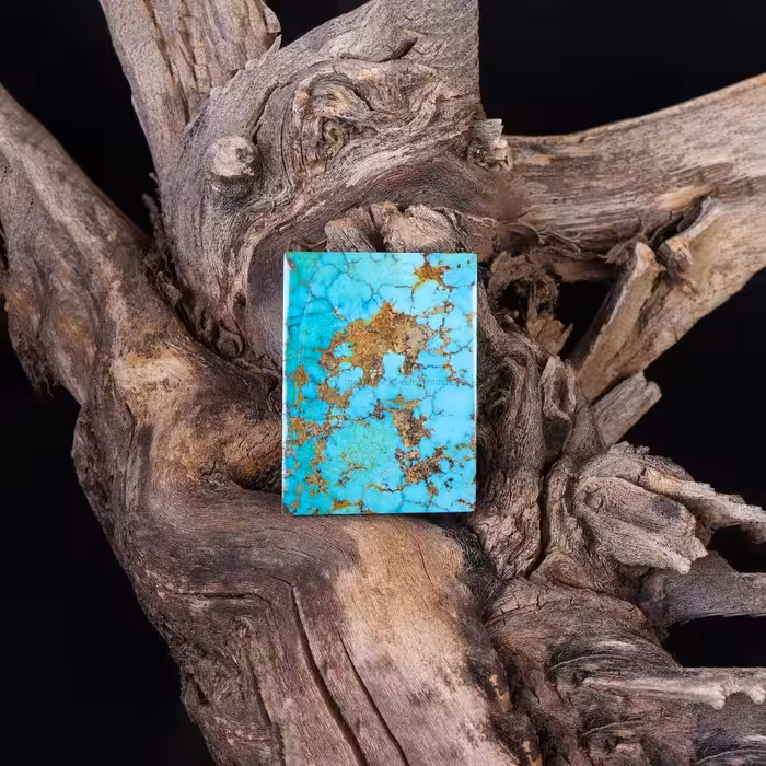 نگین فیروزه شجری کد 10746 - جواهری مشاهیر