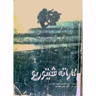کاراته شیتوریو