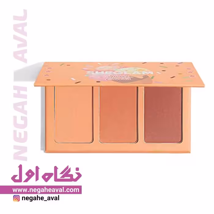 پالت رژگونه 3 رنگ PRIVATE CABANA شیگلم