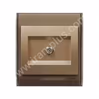 فیش ماهواره (sat) مدل ایران 2008 بژ