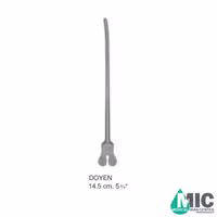 دایرکتور دوین(DOYEN)