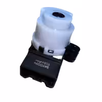 مغزی سوییج تیبا