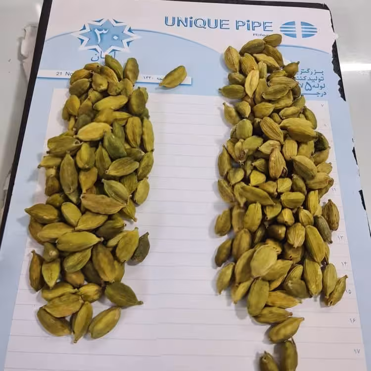 هل بنفش اکبر 20 گرمی (بسته بندی شیشه ای و فلزی)