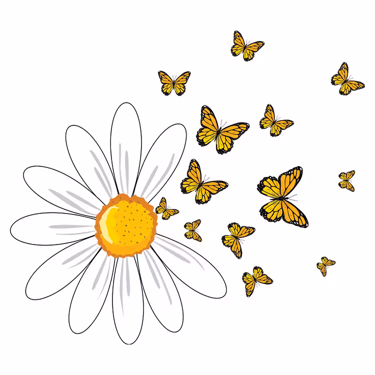 استیکر پارچه و لباس مدل دی تی اف طرح پروانه گل کد H15.74 مجموعه 4 عددی