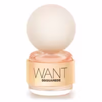 عطر دسکوارد وانت