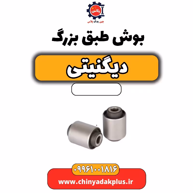 بوش طبق بزرگ دیگنیتی