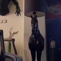 آباژور اسب( پس کرایه)