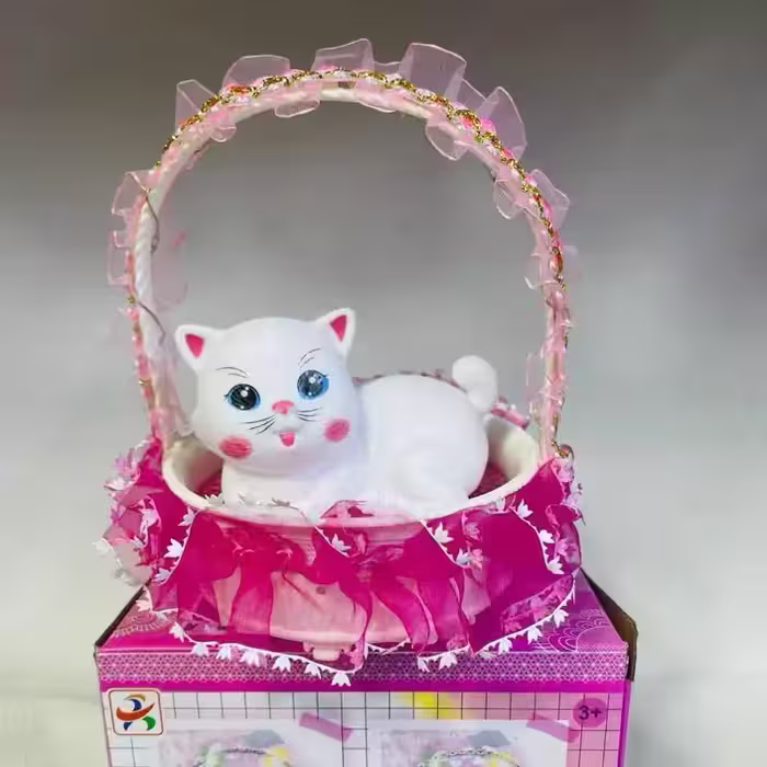 کتی ، گربه دوست داشتنی