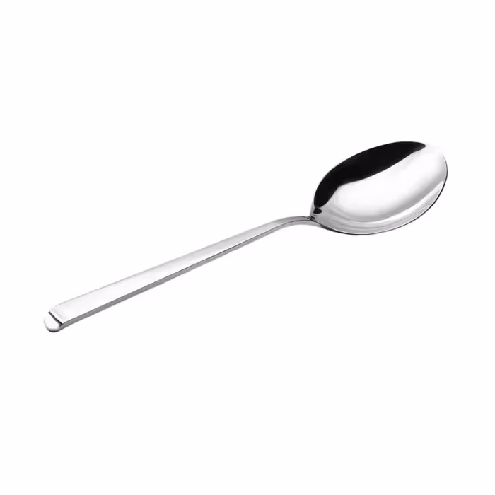 قاشق سرآشپز رولنزا مدل C36