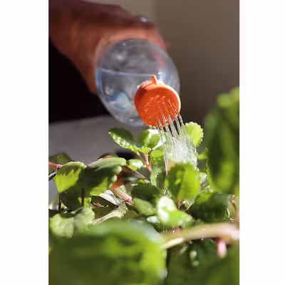 سرشیر آب روان ریز مدل RR-WF4 مجموعه 2 عددی 