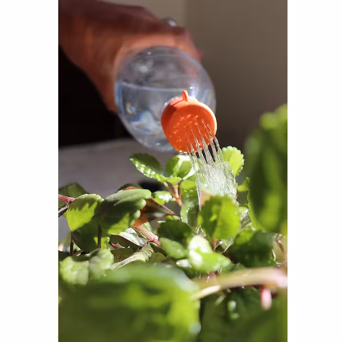 سرشیر آب روان ریز مدل RR-WF4 مجموعه 2 عددی 