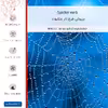 برچسب پوششی ماهوت مدل Spider web مناسب برای گوشی موبایل جی پلاس P10 Plus