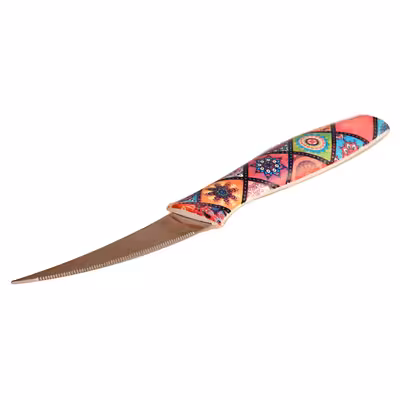 کارد میوه خوری مدل BT-003 بسته دو عددی