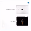برچسب پوششی ماهوت مدل Wild Tiger مناسب برای تبلت اپل iPad 2 2011 A1395