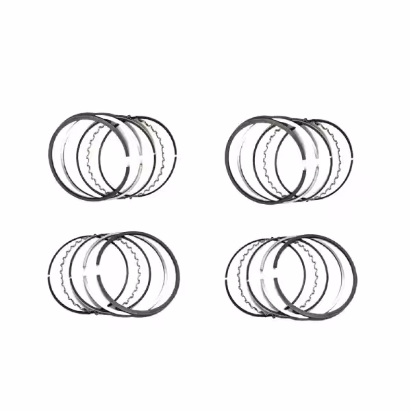 رینگ موتور پراید یورو 4 استاندارد NE STD اصل