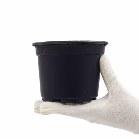 گلدان پلاستیکی ژله ای سایز 10 مشکی مجموعه 200 عددی