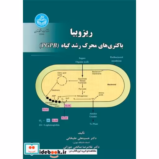 کتاب ریزوبیا، باکتری های محرک رشد گیاه 3449 اثر دکتر حسینعلی علیخانی