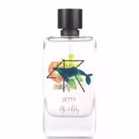 دکانت آلفرد ریچی جتی ( ALFRED RITCHY – Jetty )