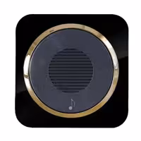 زنگ ملودی آدا پلکسی مشکی زه طلایی دلند