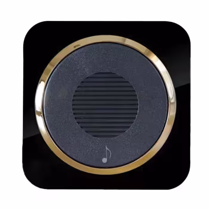 زنگ ملودی آدا پلکسی مشکی زه طلایی دلند