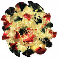 ریسه ال ای دی مدل سنتی نارگل طول 10 متری