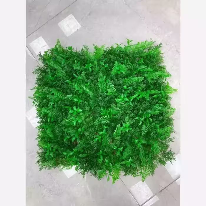 گرین وال برگ سیکاس کاج (دیوار سبز) ابعاد 50در50 cm، (پس کرایه)