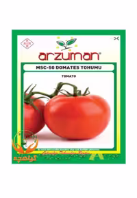 بذر گوجه فرنگی درشت بیف ترک برند آرزومان Arzuman