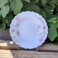 بشقاب خورش خوری 6 عددی آرکوپال طرح سارای IROPAL با ارسال رایگان