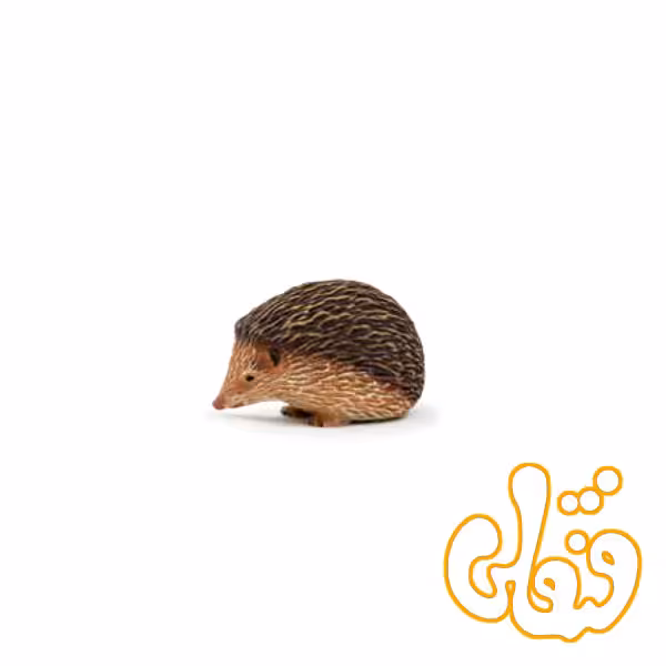 خارپشت Hedgehog 387035